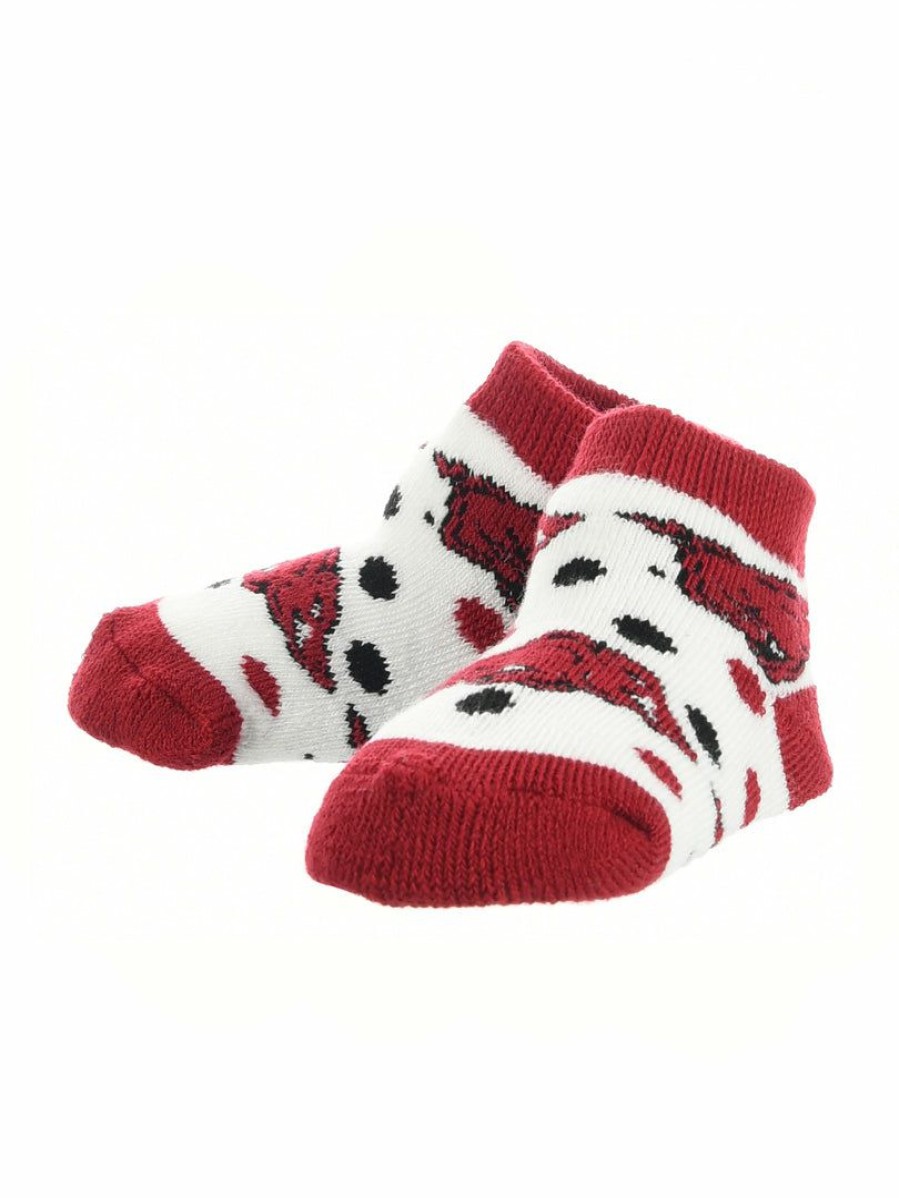 Ncaa Socks * | Best Pirce Tck Arkansas Razorbacks Toddler Socks Low Cut Little Fan All Schools Red/Black/White