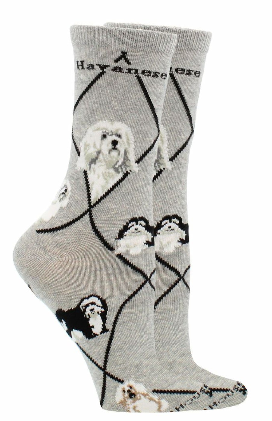 Ncaa Socks * | Top 10 Whd Havanese Socks For Women Gift For Dog Lovers Gray