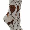 Ncaa Socks * | Outlet Whd Chocolate Lab Socks For Women Gift For Dog Lovers Crazy Socks Crew Gray